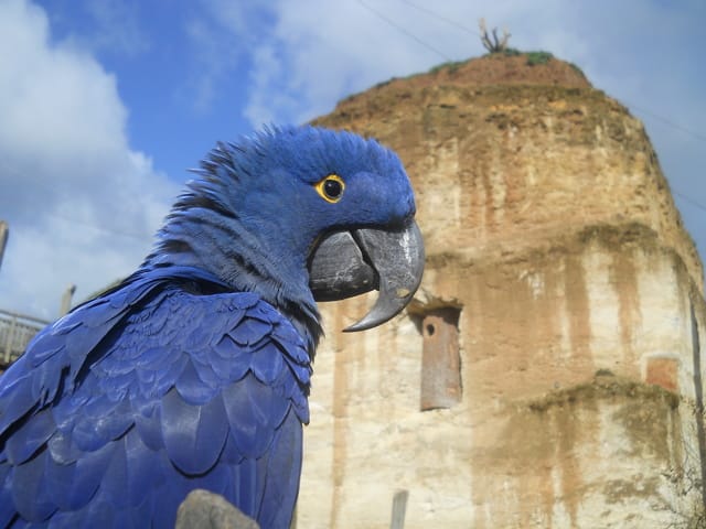 concours photo:animals around you