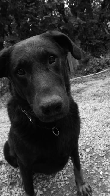 ma presentation tres tres en retard ...