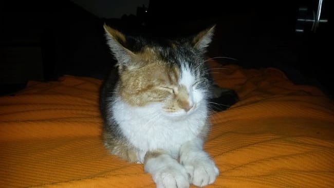 La p'tite nouvelle dans la famille !