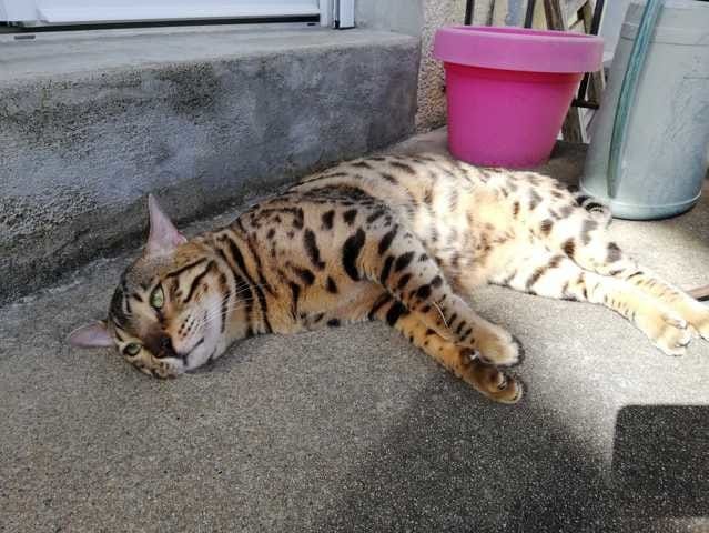 Pfffff fait trop chaud !