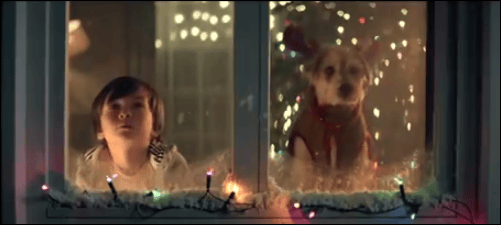 quel est la race de ce chien