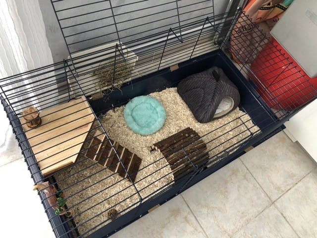 Retour au post « ronge sa cage »