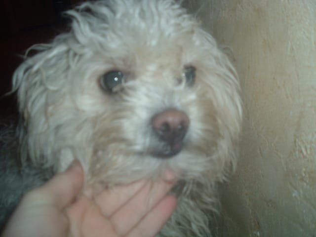 Un p'tit concours photos d'animaux !