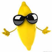 Mon chien gratte le parquet sans raisons apparentes