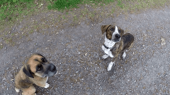 Petit trombinoscope de copains