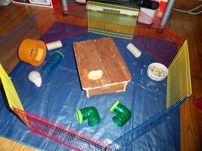 Enclos pour hamster