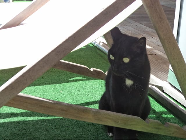 Mon bébé à enfin 11 ans 