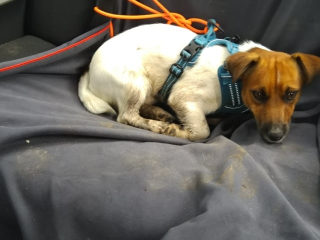 Nesquick crée ton liens n2