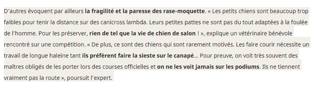 interdiction de cani-cross pour les petits chien