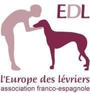 Des refuges de galgos maltraités