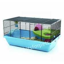 Quel hamster choisir ?