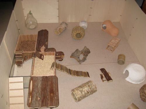 crée un parc pour hamster