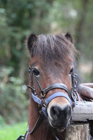 Le nouveau du centre de mes parents !