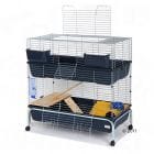 Combien peut-on mettre de cochons d'inde dans cette cage ?