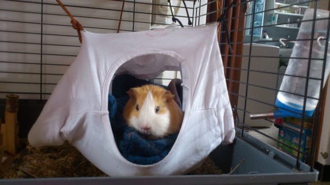 Tutoriel : Maison/coussin très simple à faire :)