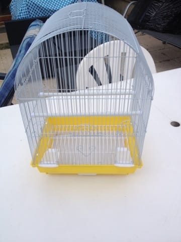 Quel oiseau choisir ?