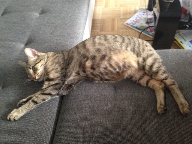 Comment gériez-vous des nouveaux-nés avec le père? Vos témoignages.