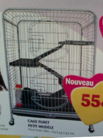 Tout comprendre sur l'octodon