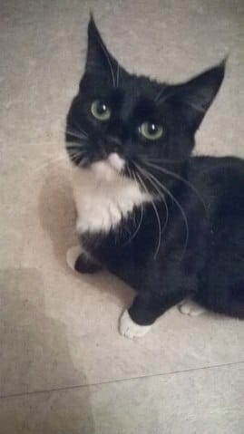 Ma présentation : Lulu