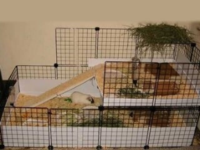projet cavy cage... a vos avis