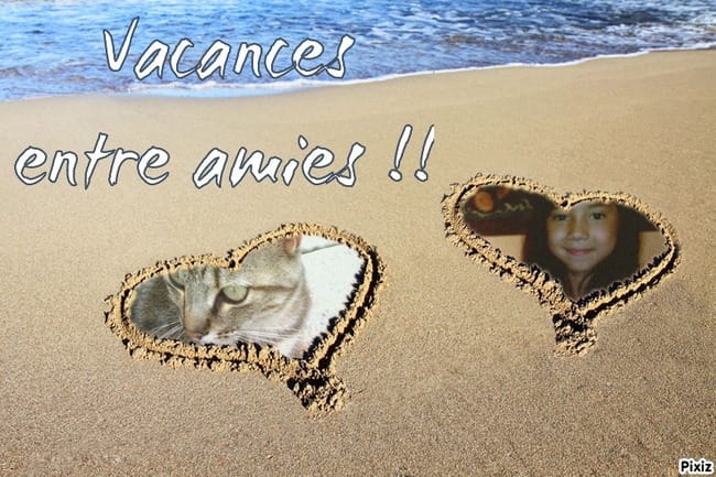 Les belles photos que j'ai :