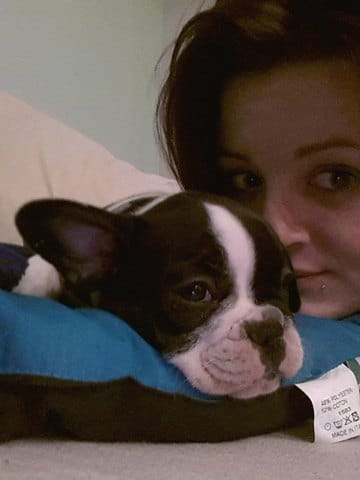 Bulldog : Ma Lylou 