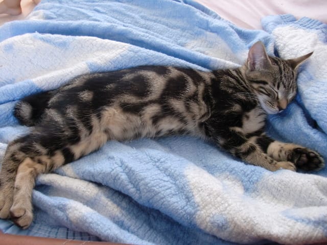 voila 17 jours déja