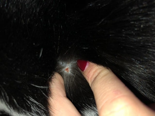 Problème de peaux et de sommeil