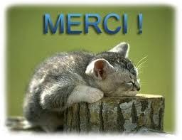 Petit sondage sur la nouriture de votre ou vos chat(s) :) 
