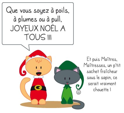 BONNES FETES!