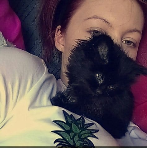 Recherche conseil mon chaton d'un mois edemi qui a la diarrhée