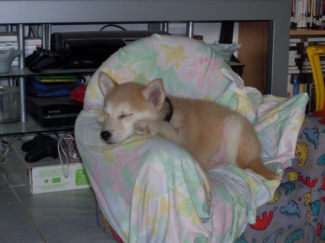 canelle arrive !!!!!!!!!!!!!!!!!