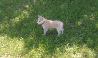 canelle est parmit nous !!!!