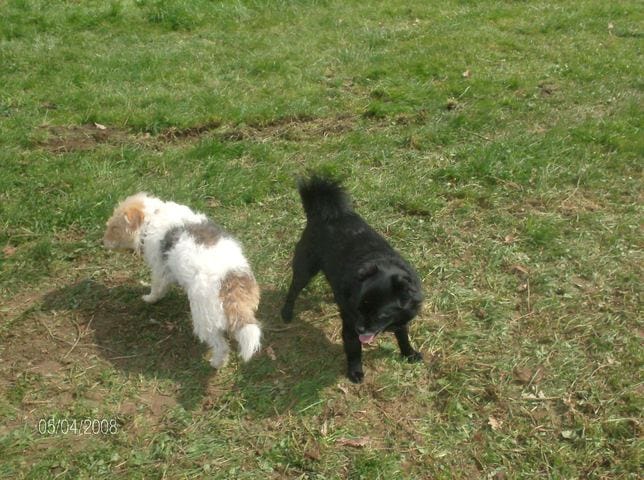 des petits nouveaux !!!