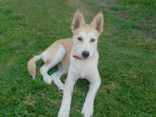 des nouvelle de tous mon petit monde 