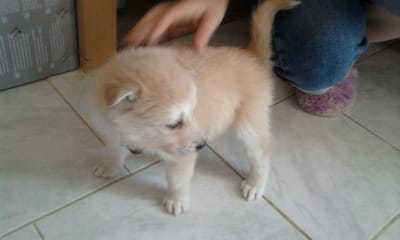 concours : de petits a grand