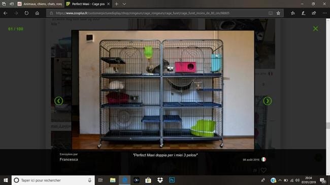 Cage pour chinchilla
