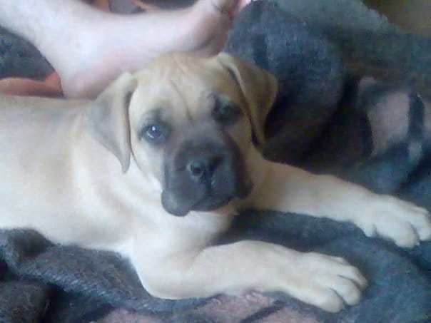 Des nouvelles de Fosky 