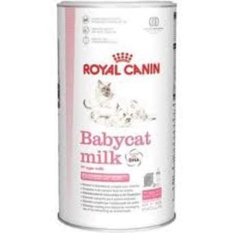 Lait substitution poudre pour chaton Royal Canin