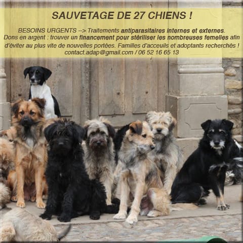 Sauvetage d'urgence
