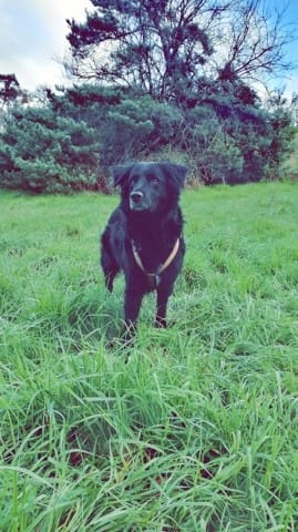 Partagez vos photos !