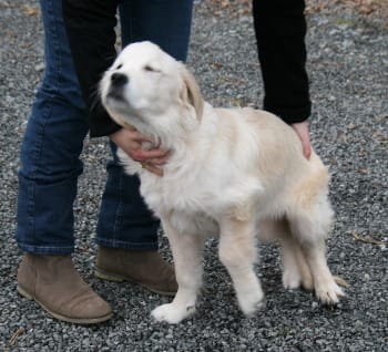 Le calvaire de Doumia