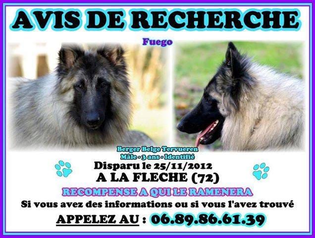 Avis de recherche de mon Fuego