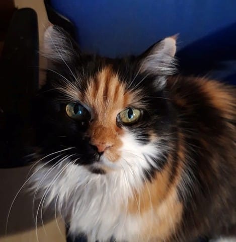 deuil très difficile