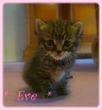 Eve             [ Ses photo, sa vie ]      