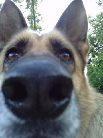 Concours grosse truffe !! 