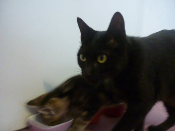 Et c'est reparti pour un tour ...