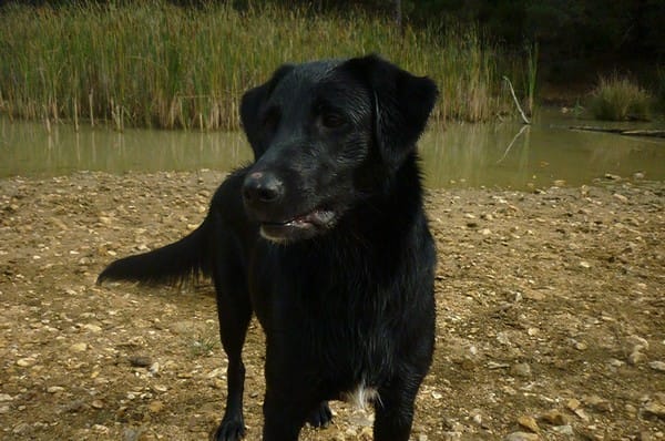 Balade entre copains ! 