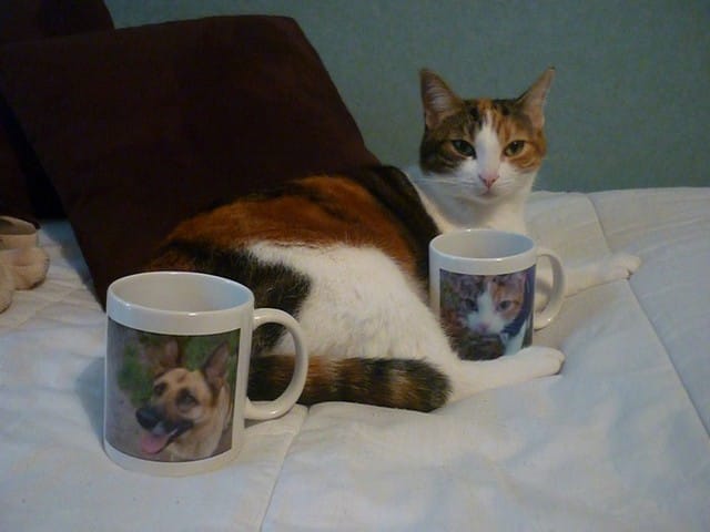 Mon super cadeau , merci Flam !!