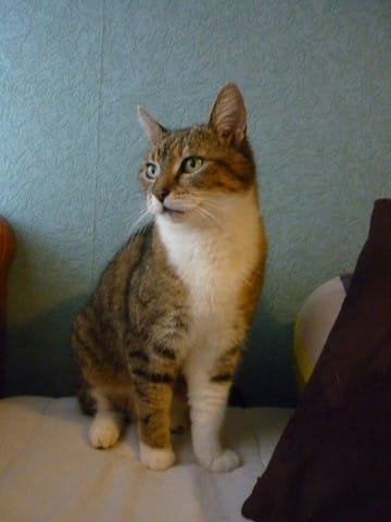 Notre premiere adoption officielle !